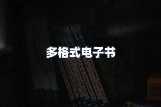 多格式电子书